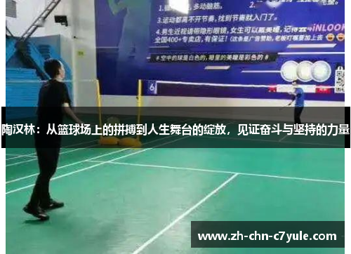 陶汉林:从篮球场上的拼搏到人生舞台的绽放,见证奋斗与坚持的力量